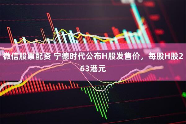 微信股票配资 宁德时代公布H股发售价，每股H股263港元